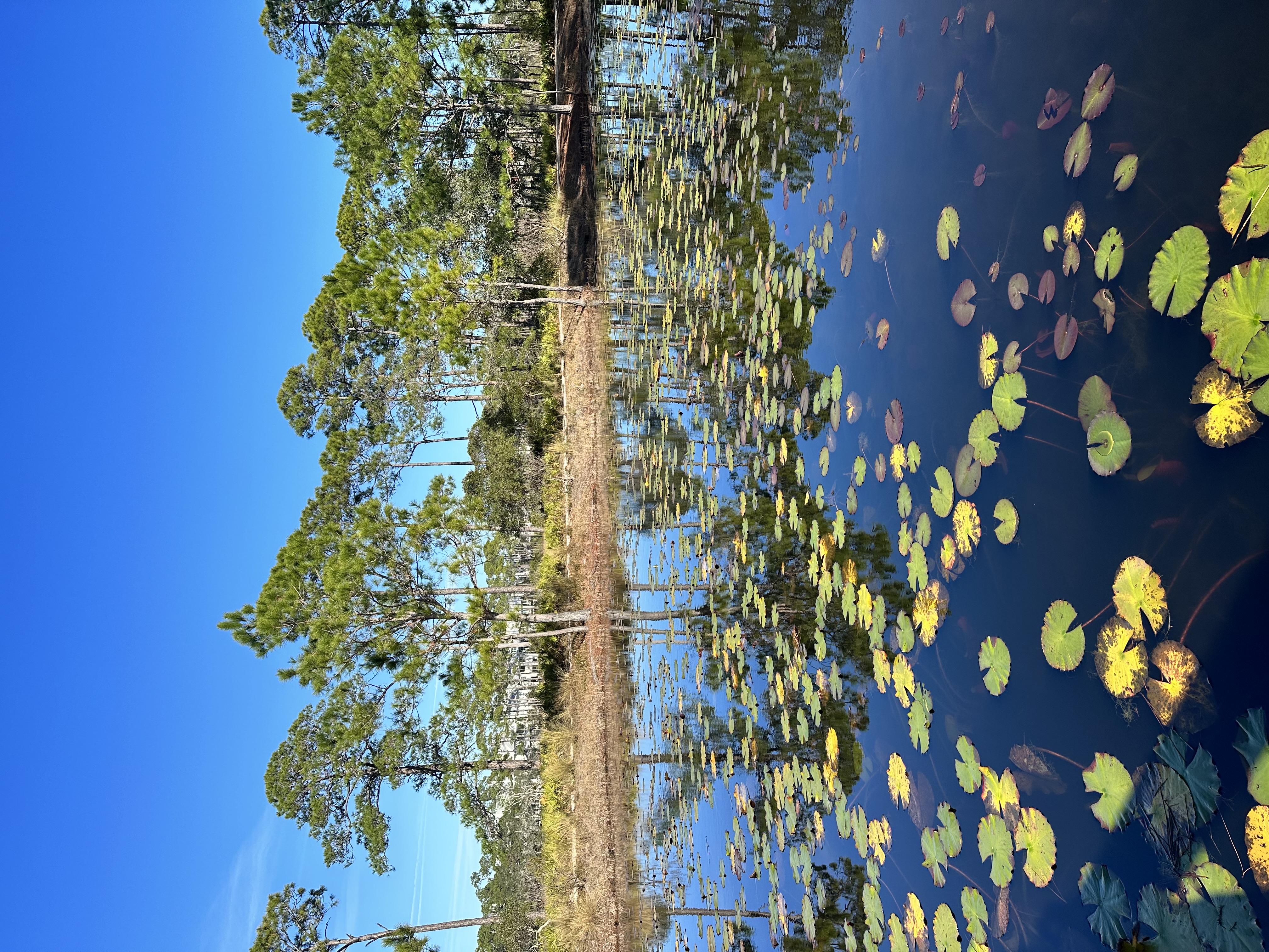 Coastal Dune Lakes of 30A