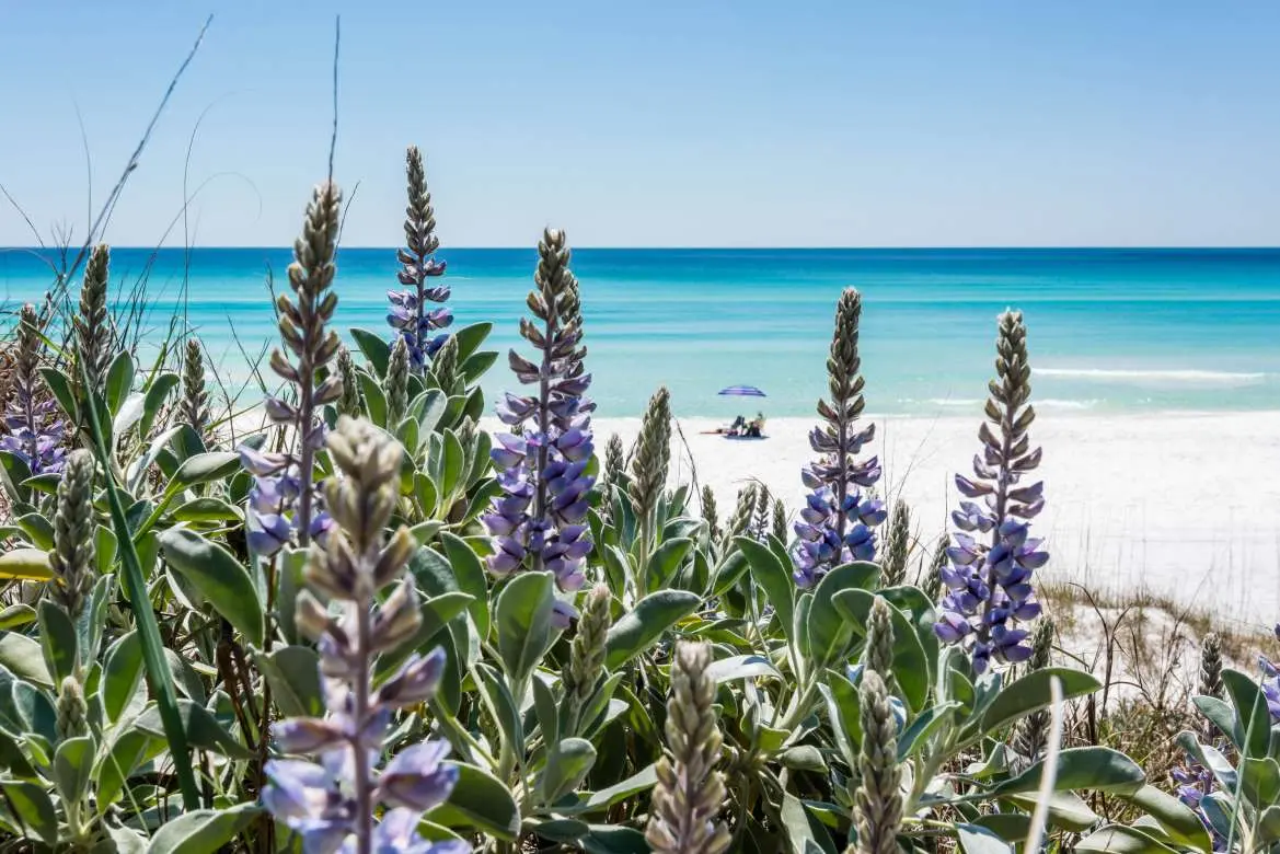 When to Visit 30A: What Each Month Has to Offer