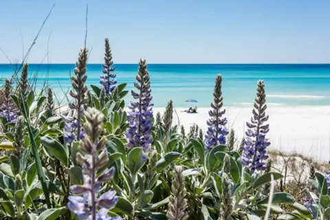When to Visit 30A: What Each Month Has to Offer