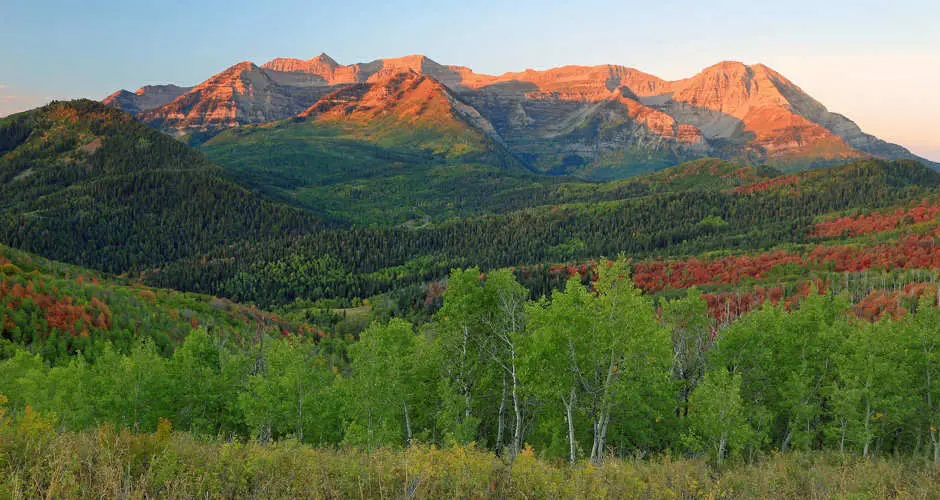 Summer Luke Insights: What Buyers Are Getting Wrong About Provo (2026 Edition)