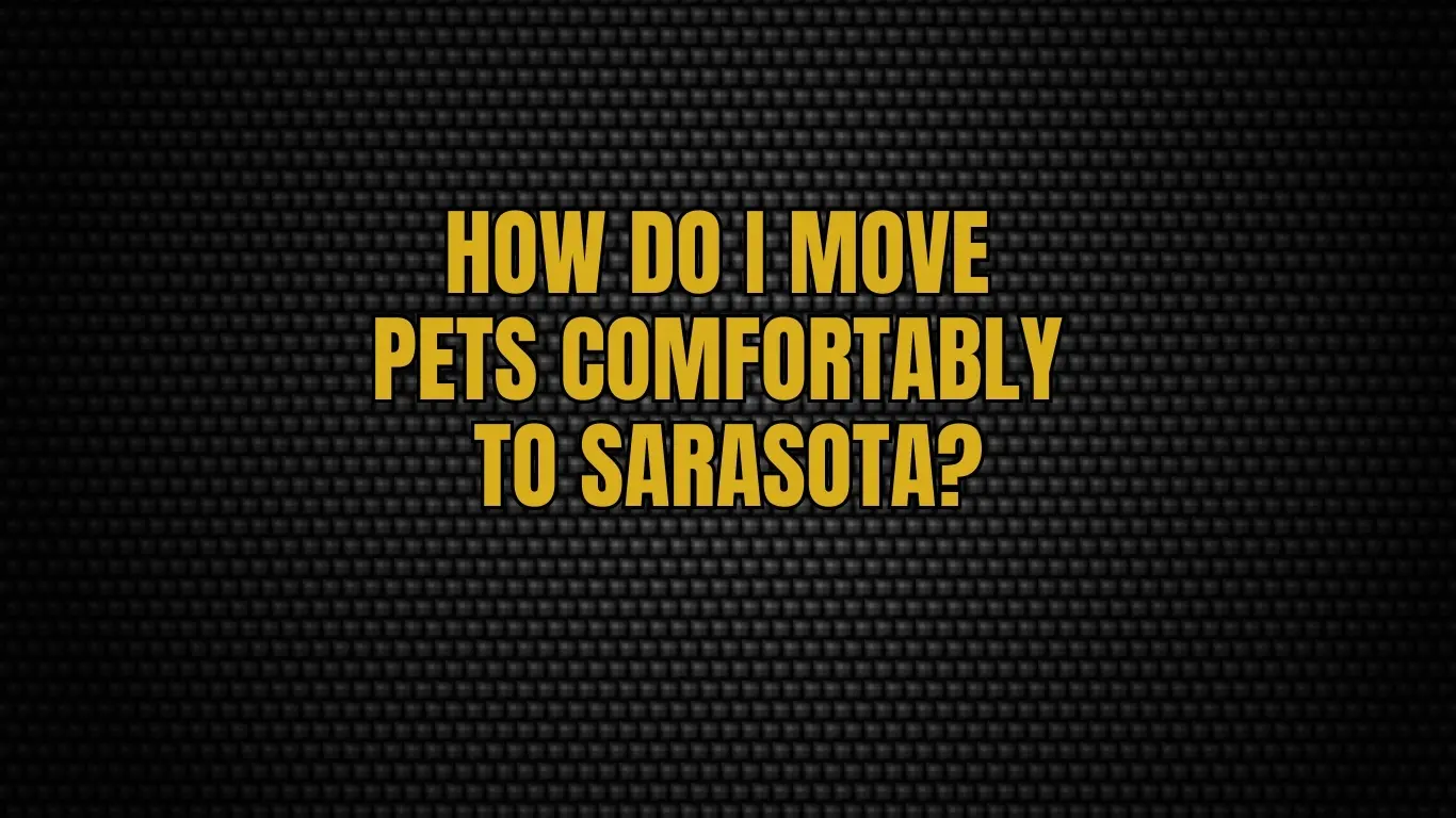 How do I move pets comfortably to Sarasota?