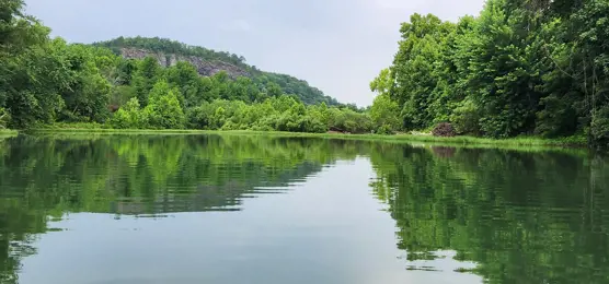 Exploring Arkansas Waterways: A Guide for Real Estate Enthusiasts