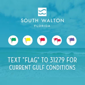 30a Beach Flags
