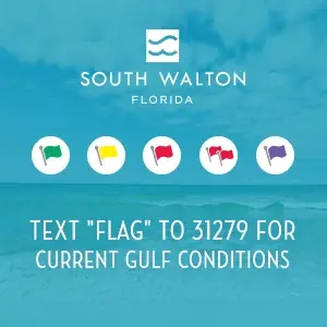 30a Beach Flags