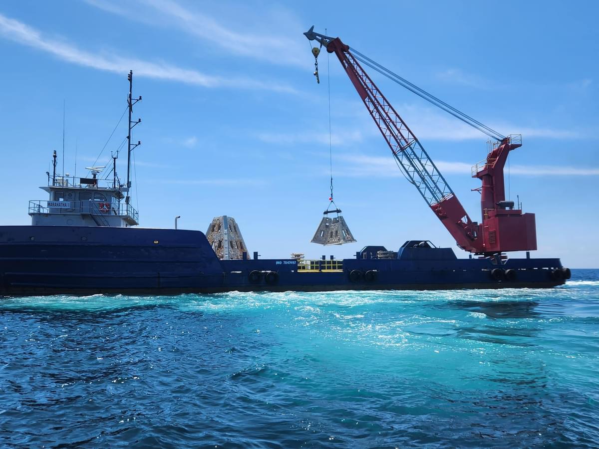 275 Artificial Reefs Deployed Off Gulf Coast