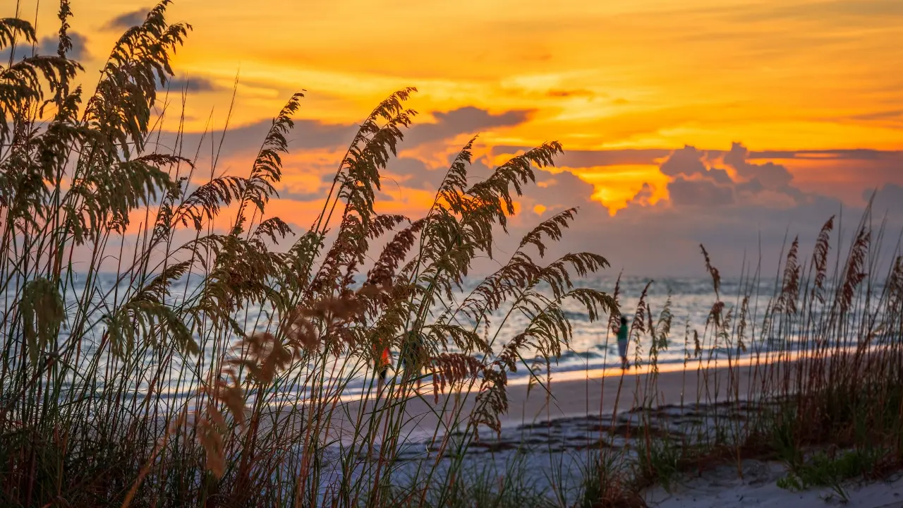 <p>Lido Key offers a perfect mix of upscale coastal living and island charm. Just minutes from downtown Sarasota, it features pristine beaches, the scenic Lido Mangrove Tunnels for kayaking, and iconic St. Armands Circle with shopping and dining galore. Whether you're relaxing on the sand or enjoying a waterfront meal, life on Lido Key is all about effortless elegance and coastal relaxation.</p>