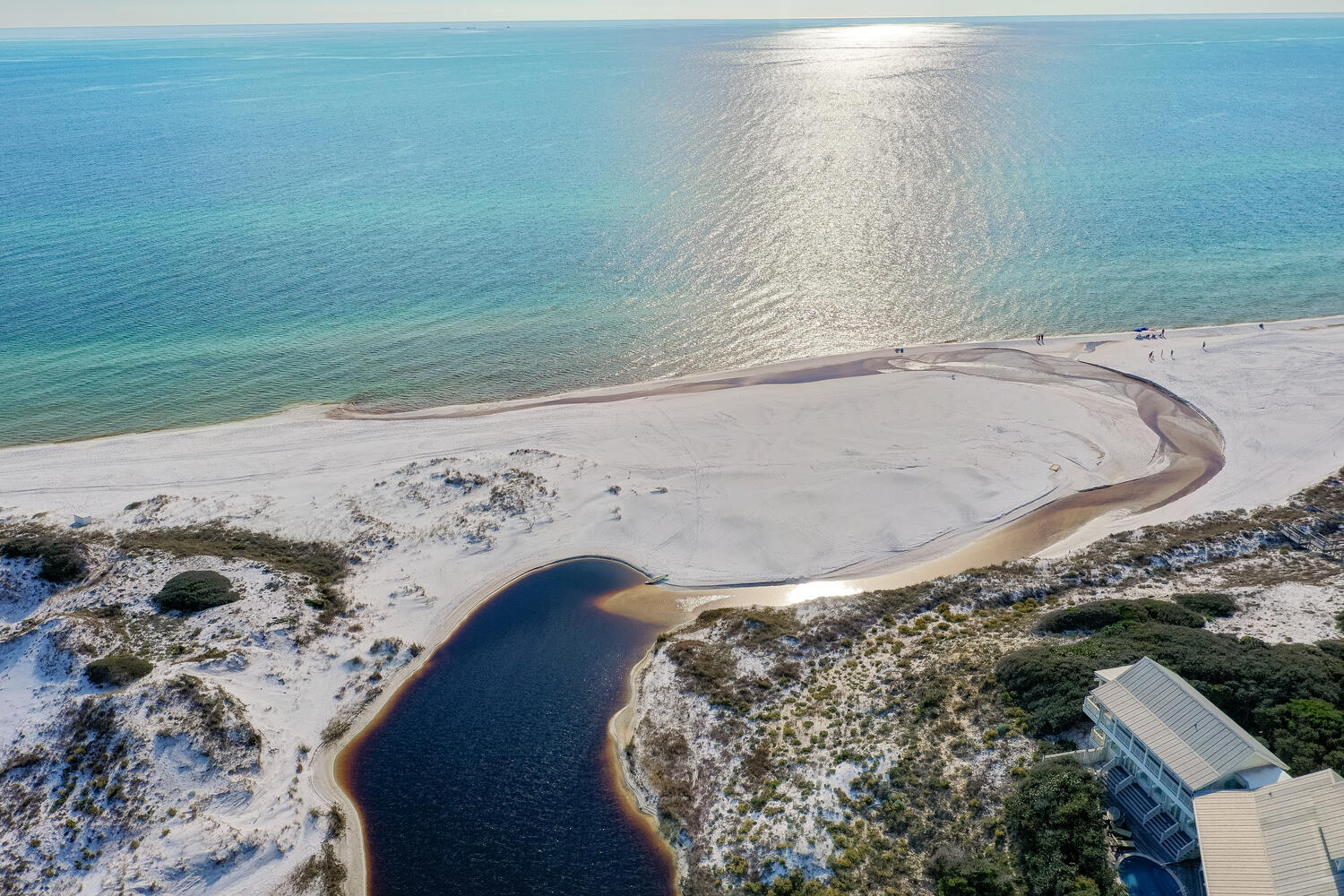 Exploring the Enchanting Coastal Dune Lakes of 30A