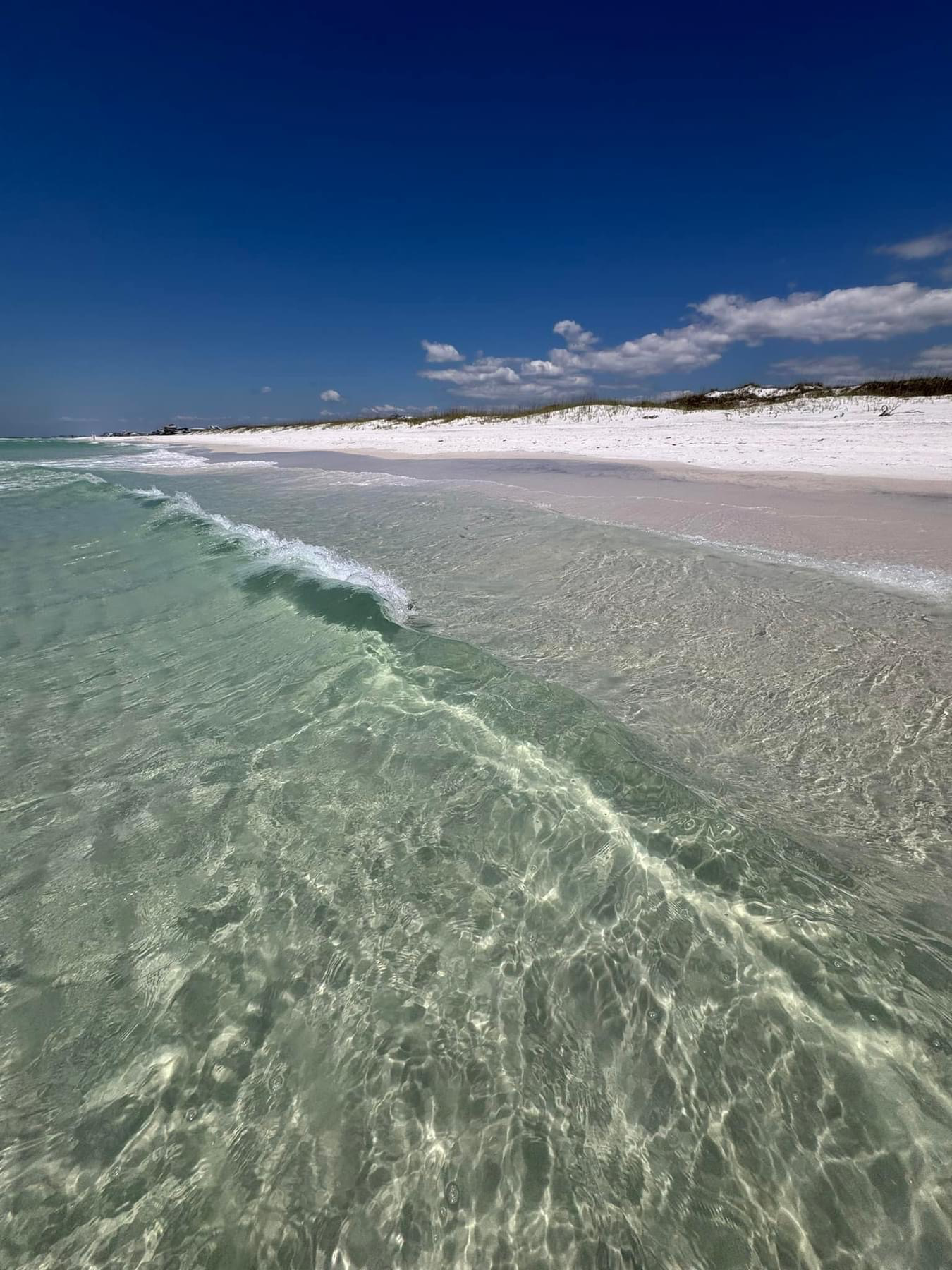 Grayton Beach, Florida is a picturesque coastal neighborhood known for its stunning white sandy beaches and quaint Gulf Coast charm. This sought-after community offers a mix of luxurious beachfront estates, charming cottages, and upscale condos. Residents and visitors alike are drawn to Grayton Beach for its laid-back atmosphere, friendly locals, and world-class amenities.

Real estate in Grayton Beach includes a variety of options to suit every lifestyle and budget. Whether you're looking for a cozy beachfront bungalow or a spacious luxury home with panoramic ocean views, you'll find it in Grayton Beach. Many properties feature private beach access, resort-style pools, and beautifully landscaped grounds.

In addition to its beautiful beaches, Grayton Beach offers a range of outdoor activities such as fishing, boating, hiking, and birdwatching. The neighborhood is also home to a variety of shops, restaurants, and art galleries, making it a popular destination for both tourists and year-round residents.

If you're looking for a charming coastal community with world-class amenities and unbeatable natural beauty, consider Grayton Beach, Florida for your next real estate investment. Live the beachfront lifestyle you've always dreamed of in this idyllic Gulf Coast paradise.