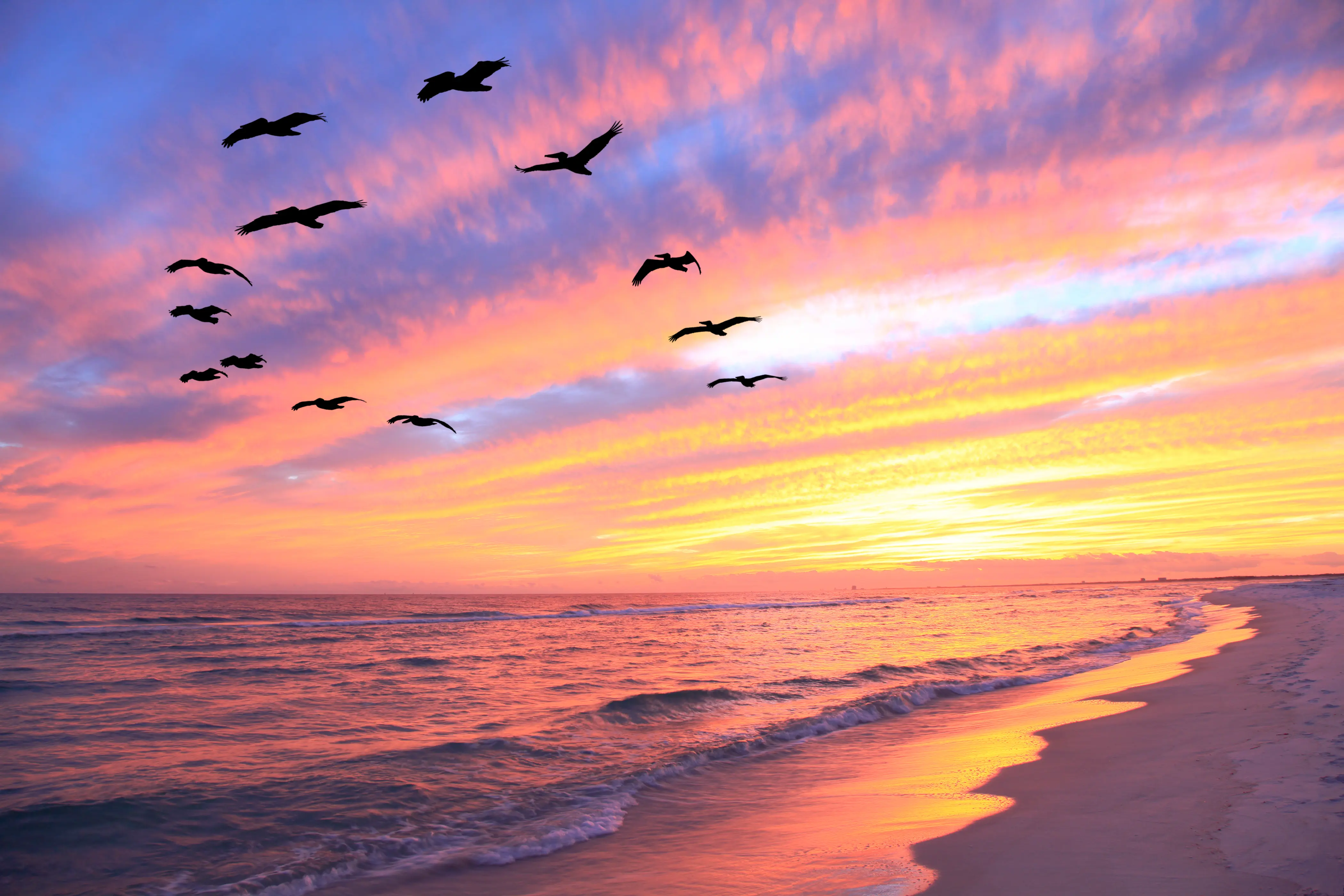 Does Living on 30A Really Help You Live Longer? Science Says Yes