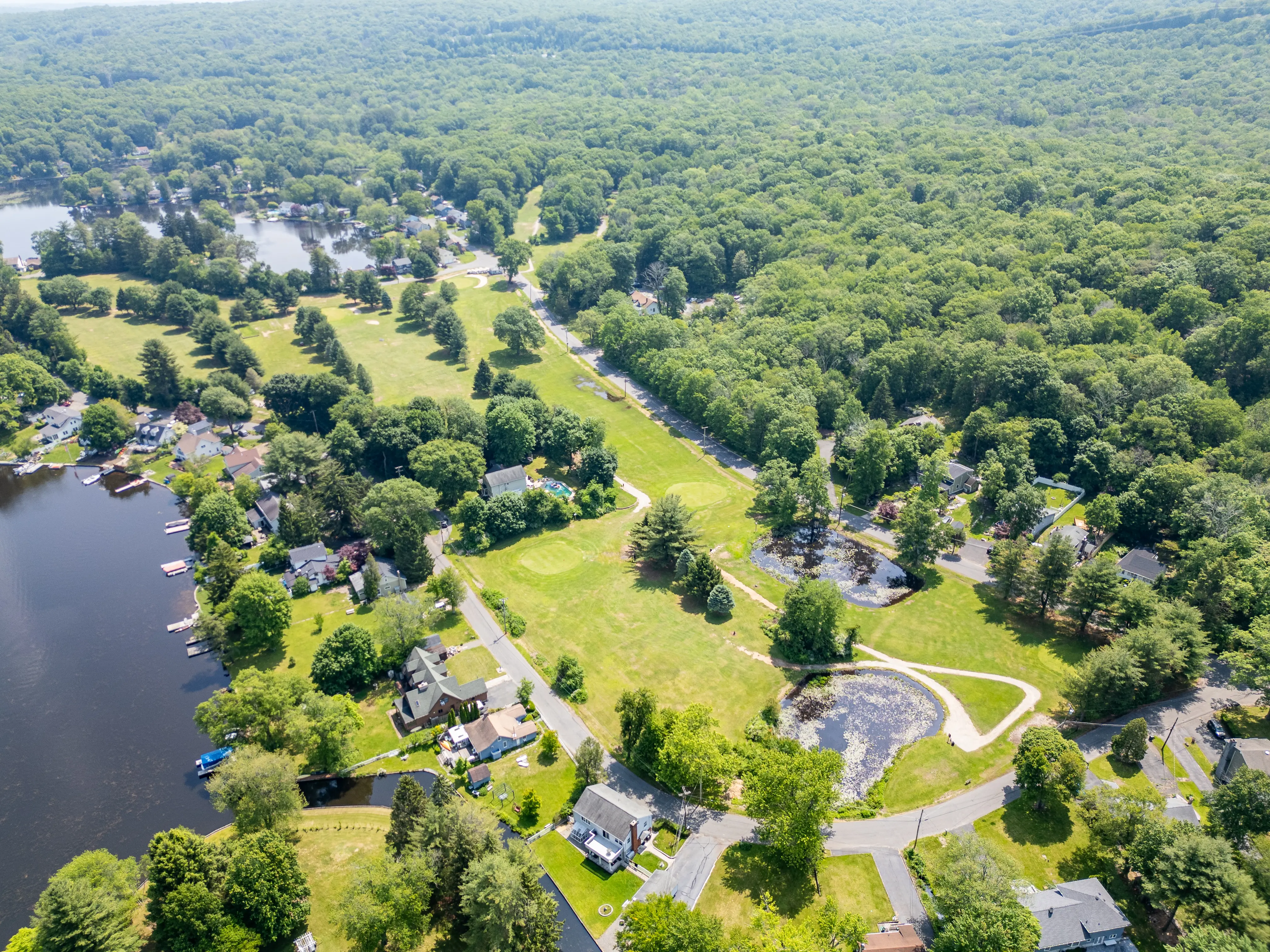 REALHUB is on fire today