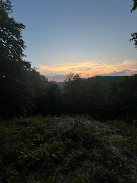 One of the most popular communities provided by {{page_data.agentName}}