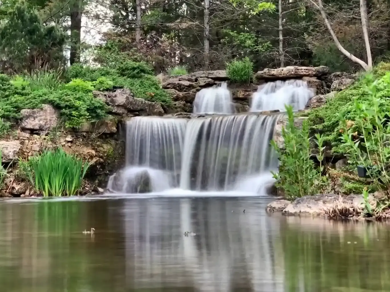 Discover Brumley, MO: A Hidden Gem in the Heart of Missouri Brumley, Missouri is a charming, tight-knit community nestled in the rolling hills of central...