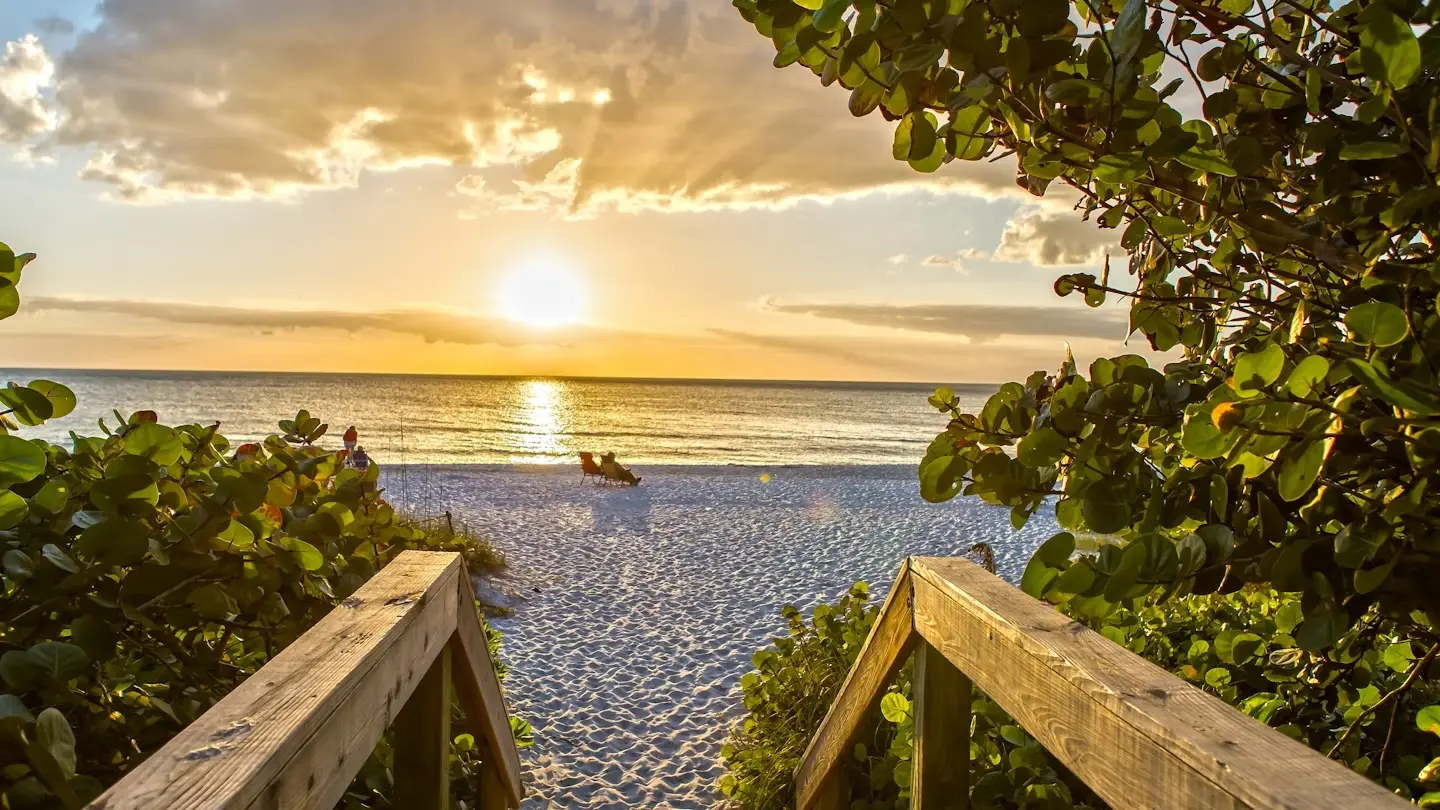 REALHUB is on fire today