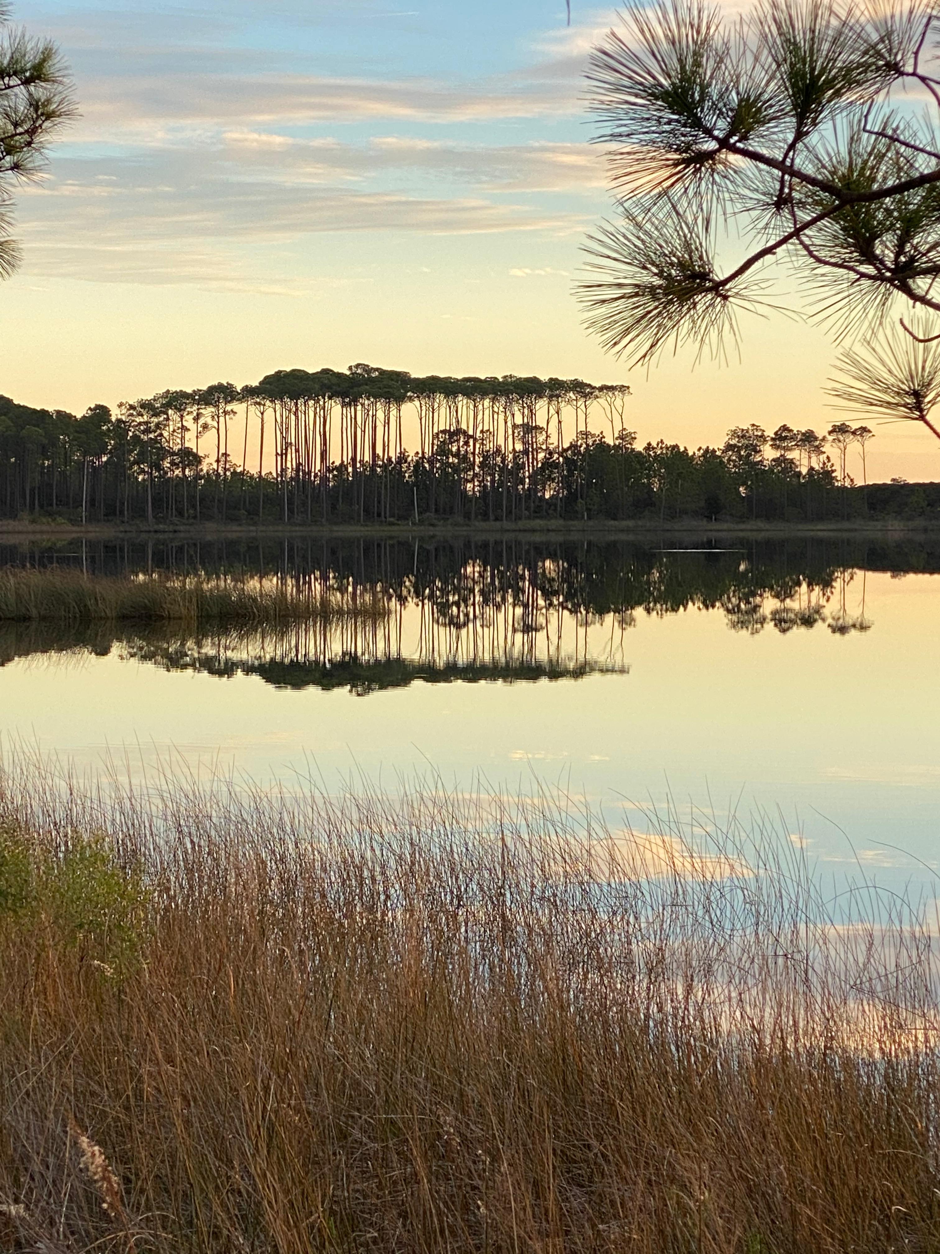 30a’s Most Memorable Instagram Spots