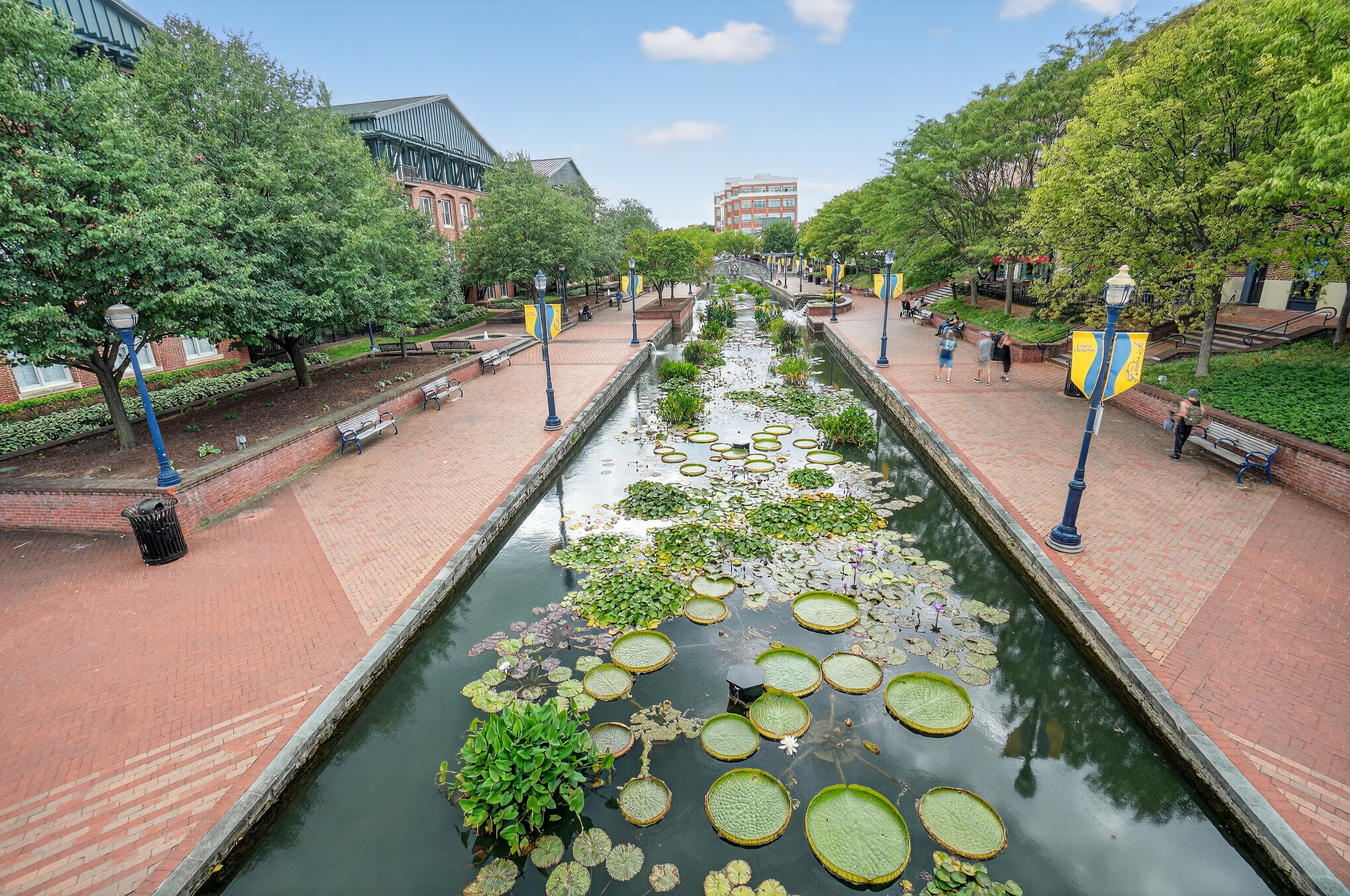 Moving to Frederick, MD in 2026: What Locals Wish They Knew Before Buying