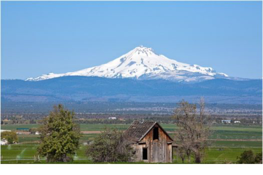 <p><span style="font-size: 18px;font-family: Arial;"><strong>Discover Jefferson County, Oregon</strong></span></p>
<p><span style="font-family: Arial;">Welcome to <strong>Jefferson County</strong>, a captivating region in Central Oregon where rugged desert landscapes meet lush river valleys and welcoming communities invite exploration. Whether you’re a resident, traveler, or adventurer, Jefferson County offers a unique blend of natural beauty, history, and small-town charm.</span></p>
<p><span style="font-family: Arial;">Nestled in the heart of Oregon, <em>Jefferson County</em> is known for its breathtaking views of the Cascade Mountains, open high desert, and vibrant agricultural lands. With its central location, Jefferson County is a gateway to outdoor recreation, Native American heritage, and classic rural experiences.</span></p>
<p><span style="font-family: Arial;"><strong>Key Facts:</strong></span></p>
<ul>
<li dir = "auto"><span style="font-family: Arial;"><strong>County Seat:</strong> Madras</span></li>
<li dir = "auto"><span style="font-family: Arial;"><strong>Founded:</strong> 1914</span></li>
<li dir = "auto"><span style="font-family: Arial;"><strong>Population:</strong> About 24,000 (2020 Census)</span></li>
<li dir = "auto"><span style="font-family: Arial;"><strong>Largest Communities:</strong> Madras, Culver, Metolius, Warm Springs</span></li>
</ul>
<h2><span style="font-size: 18px;font-family: Arial;">Location and Landscape</span></h2>
<p><span style="font-family: Arial;">Jefferson County is perfectly positioned for those seeking both adventure and tranquility. The <em>Deschutes River</em> winds through canyons, while snow-capped peaks like <em>Mount Jefferson</em> and <em>Three Fingered Jack</em> rise dramatically to the west. The land here is dotted with:</span></p>
<ul>
<li dir = "auto"><span style="font-family: Arial;"><em>Productive farms and ranches</em></span></li>
<li dir = "auto"><span style="font-family: Arial;"><em>Sagebrush and juniper country</em></span></li>
<li dir = "auto"><span style="font-family: Arial;"><em>Reservoirs and river gorges</em></span></li>
</ul>
<h2><span style="font-size: 18px;font-family: Arial;">Neighborhoods &amp; Communities</span></h2>
<h3><span style="font-size: 18px;font-family: Arial;">Madras</span></h3>
<p><span style="font-family: Arial;">The vibrant county seat, Madras, offers friendly neighborhoods, local shops, and a lively downtown. It’s the hub for schools, cultural events, and gateway to the <em>Warm Springs Indian Reservation</em>.</span></p>
<h3><span style="font-size: 18px;font-family: Arial;">Culver</span></h3>
<p><span style="font-family: Arial;">A small, tightly-knit agricultural town known for its proximity to <em>Lake Billy Chinook</em>—a popular spot for boating, fishing, and summer fun.</span></p>
<h3><span style="font-size: 18px;font-family: Arial;">Metolius</span></h3>
<p><span style="font-family: Arial;">This historic rail town offers a blend of rural living and easy access to scenic byways.</span></p>
<h3><span style="font-size: 18px;font-family: Arial;">Warm Springs</span></h3>
<p><span style="font-family: Arial;">Home to the <em>Confederated Tribes of Warm Springs</em>, this community preserves deep-rooted Native American traditions, art, and history. Visit the </span><a href="https://museumatwarmsprings.org/" target="_self"><span style="font-family: Arial;">Museum at Warm Springs</span></a><span style="font-family: Arial;"> for an enriching cultural experience.</span></p>
<h2><span style="font-size: 18px;font-family: Arial;">What to See &amp; Do</span></h2>
<p><span style="font-family: Arial;"><em>Jefferson County</em> is a haven for outdoor enthusiasts and culture seekers. Highlights include:</span></p>
<ul>
<li dir = "auto"><span style="font-family: Arial;"><strong>Smith Rock State Park:</strong> World-famous for rock climbing and hiking</span></li>
<li dir = "auto"><span style="font-family: Arial;"><strong>Lake Billy Chinook:</strong> Boating, swimming, camping, and houseboat rentals</span></li>
<li dir = "auto"><span style="font-family: Arial;"><strong>Cove Palisades State Park:</strong> Dramatic canyons and lake recreation</span></li>
<li dir = "auto"><span style="font-family: Arial;"><strong>Dee Wright Observatory:</strong> Unparalleled Cascade mountain views</span></li>
<li dir = "auto"><span style="font-family: Arial;"><strong>Annual Festivals:</strong> Jefferson County Fair, Airshow of the Cascades</span></li>
</ul>
<h2><span style="font-size: 18px;font-family: Arial;">Dining &amp; Local Flavor</span></h2>
<p><span style="font-family: Arial;">Sample locally grown produce at farmers’ markets or enjoy classic American eats, authentic Mexican fare, and diners known for hearty breakfasts. Several local bakeries and coffee shops make Madras and Culver great stops for travelers.</span></p>
<h2><span style="font-size: 18px;font-family: Arial;">Local Resources</span></h2>
<ul>
<li dir = "auto"><a href="https://www.jeffco.net/" target="_self"><span style="font-family: Arial;">Jefferson County Official Website</span></a></li>
<li dir = "auto"><a href="https://www.madraschamber.com/" target="_self"><span style="font-family: Arial;">Madras Chamber of Commerce</span></a></li>
<li dir = "auto"><a href="https://visitcentraloregon.com/" target="_self"><span style="font-family: Arial;">Central Oregon Visitors Association</span></a></li>
</ul>
<h2><span style="font-size: 18px;font-family: Arial;">Why Live or Visit Here?</span></h2>
<ul>
<li dir = "auto"><span style="font-family: Arial;"><strong>Affordable living</strong> with rural charm</span></li>
<li dir = "auto"><span style="font-family: Arial;"><strong>Easy access to outdoor recreation</strong></span></li>
<li dir = "auto"><span style="font-family: Arial;"><strong>Warm, welcoming community spirit</strong></span></li>
<li dir = "auto"><span style="font-family: Arial;"><strong>Rich Native American heritage</strong></span></li>
</ul>
<h2><span style="font-size: 18px;font-family: Arial;">Getting Here</span></h2>
<p><span style="font-family: Arial;">Jefferson County is accessible via <em>U.S. Highway 97</em>, which runs the length of Oregon’s high desert. The <em>Madras Municipal Airport</em> welcomes small aircraft, and road trips from Bend, Portland, and the Columbia Gorge are quick and scenic.</span></p>
<p><span style="font-family: Arial;"><em>Experience the inspiring vistas, genuine hospitality, and boundless adventure that make Jefferson County, Oregon, a place like no other.</em></span></p>