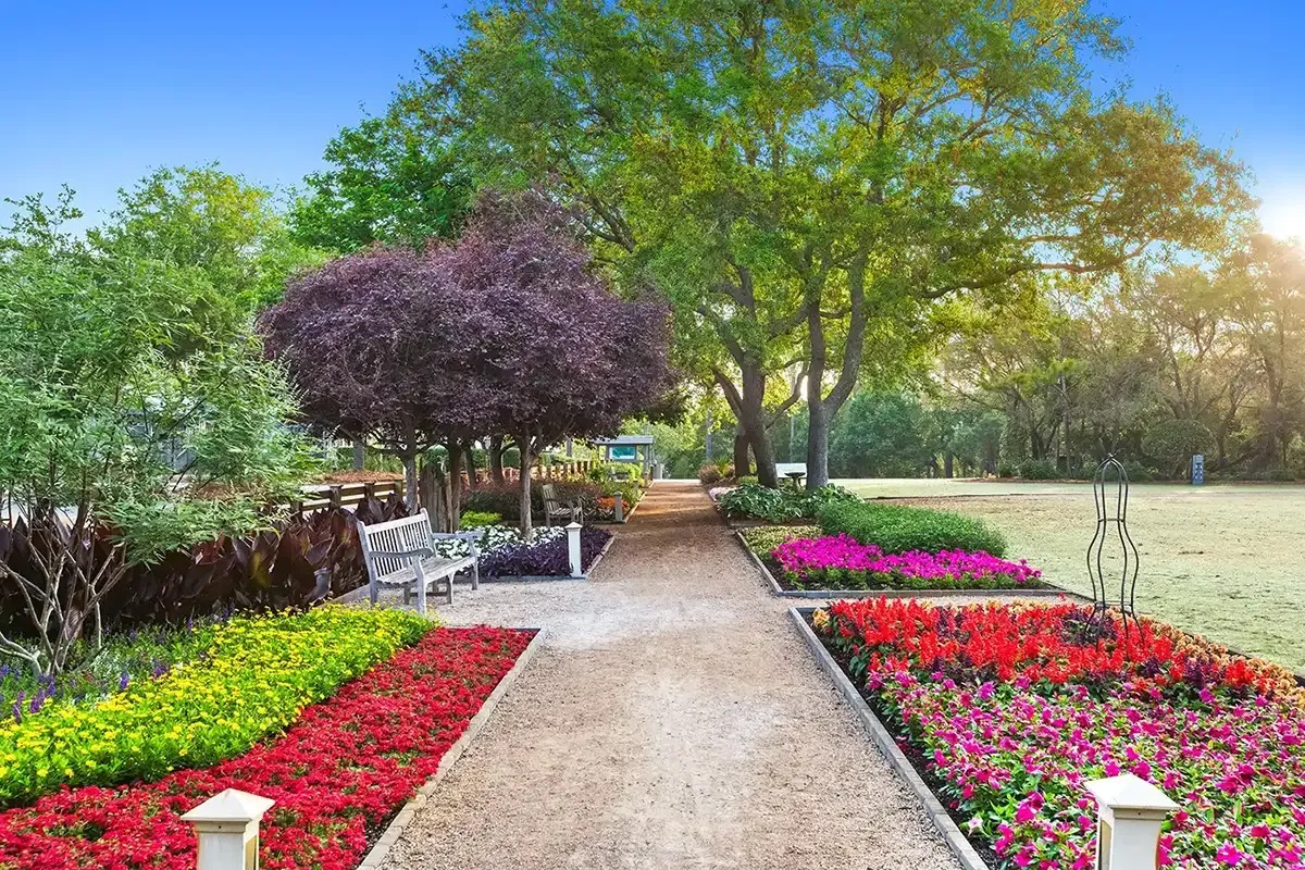 Karen Holder Insights: Why WaterColor Inventory Continues To Surprise Me (2026 Edition)