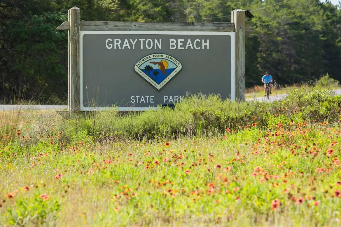 5 Reasons Grayton Beach State Park Is Our Favorite Place on 30A