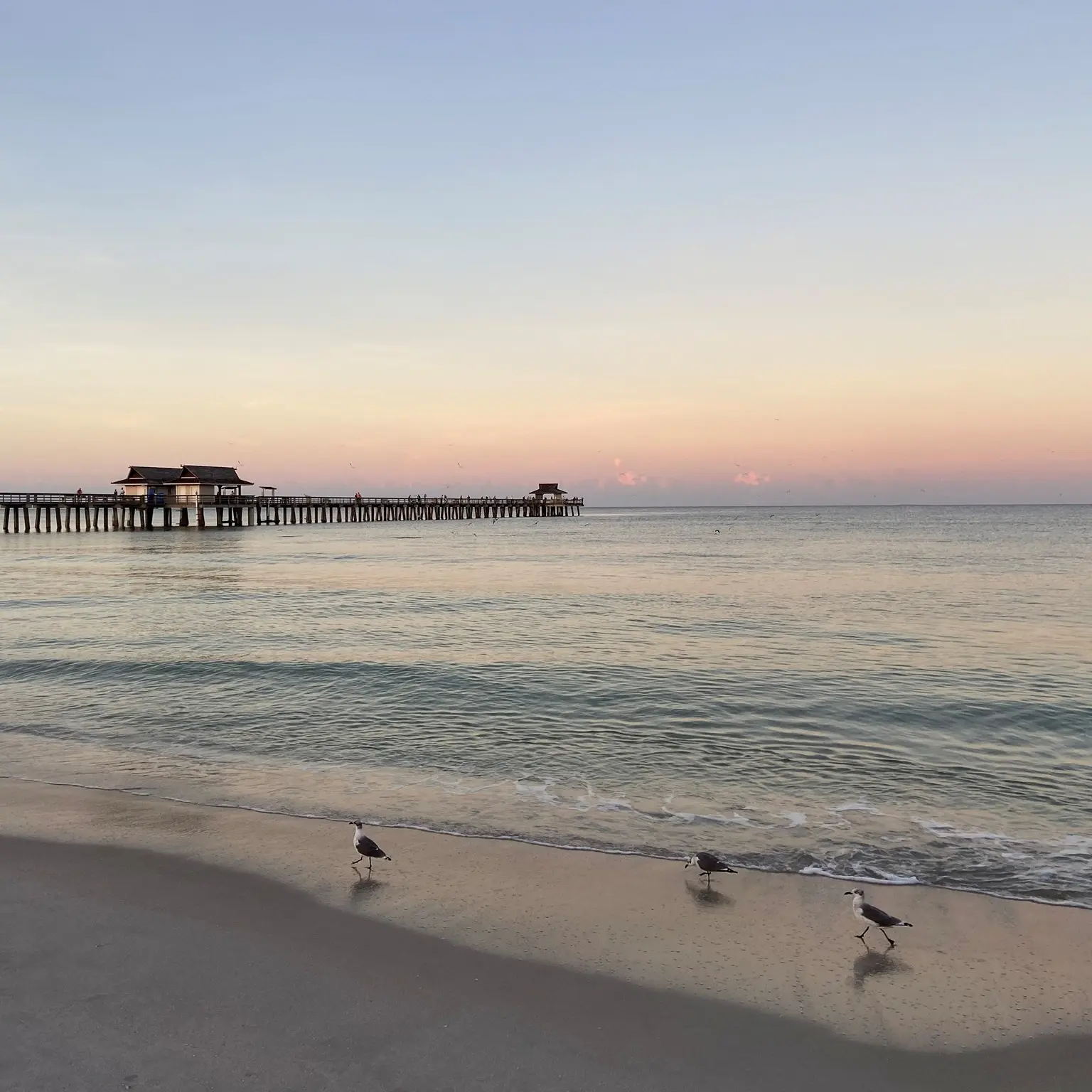 REALHUB is on fire today