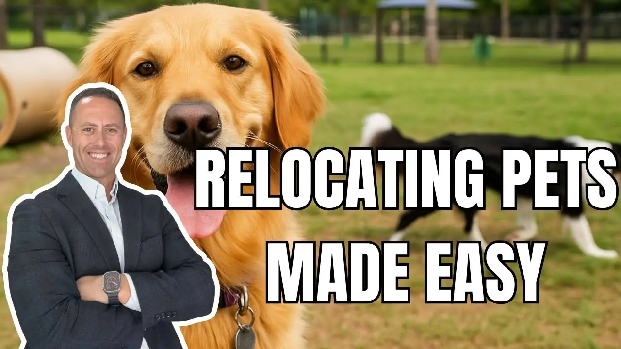 Moving to Sarasota with Pets: Tips for a Stress-Free Transition