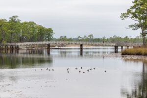 WaterColor Florida is nestled along the picturesque coastline of 30A. Known for its stunning natural landscapes and artistic charm, WaterColor is a destination that offers the perfect blend of relaxation and inspiration.

As you enter WaterColor, you'll immediately notice its distinct coastal architecture, characterized by charming pastel-hued homes and award-winning design. The community is designed to embrace a casual and laid-back lifestyle, where residents and visitors can immerse themselves in the tranquil ambiance.

One of the highlights of WaterColor is its breathtaking beachfront. With pristine white sand and crystal-clear turquoise waters, the beach serves as a playground for both relaxation and adventure. Whether you prefer to soak up the sun, dip your toes in the gentle waves, or partake in thrilling water sports, WaterColor's beach offers something for everyone.

Surrounding the beach, the community features a network of carefully curated parks and green spaces. These areas are perfect for leisurely strolls, picnics, or engaging in outdoor activities like cycling or hiking. The emphasis on preserving the natural beauty of the area brings a sense of serenity and encourages residents and visitors to connect with nature.

Art and culture thrive in WaterColor, making it an artistic hub within the 30A region. The community boasts numerous art galleries and studios, showcasing the works of talented local and visiting artists. Art lovers will find themselves captivated by the vibrant colors and evocative creations that grace the walls of these spaces.

Additionally, WaterColor hosts various art festivals, workshops, and exhibitions throughout the year, attracting artists and enthusiasts from far and wide. Visitors can participate in hands-on painting classes, attend insightful art lectures, or simply browse the eclectic range of artwork on display.

WaterColor also offers an array of amenities that enhance the overall experience. The community features a world-class golf course, tennis courts, swimming pools, and fitness centers, ensuring ample opportunities for active recreation and relaxation. There are also excellent dining options, ranging from casual beachfront cafes to upscale restaurants, where you can savor delicious cuisine and soak in the coastal ambiance.

Whether you're seeking a peaceful retreat, an artistic haven, or an outdoor playground, the community of WaterColor on 30A provides the perfect backdrop for an unforgettable experience. Immerse yourself in the beauty of the coastal surroundings, discover the vibrant art scene, and create lasting memories in this idyllic Florida destination.