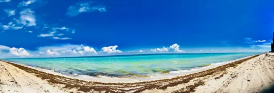 <p>Tucked between the Atlantic Ocean and the Intracoastal Waterway, Golden Beach is one of South Florida’s most exclusive and picturesque towns. Known for its pristine private beaches, lush landscaping, and oceanfront estates, this quiet enclave offers residents an unparalleled blend of serenity, security, and sophistication. This community holds a special place in my heart as I was born and raised here. </p><p><br></p><p><br></p><h4>A True Residential Sanctuary</h4><p><br></p><p><br></p><p>Golden Beach is a gated, single-family home community with no high-rise buildings or commercial properties within its borders. The town is fiercely protective of its residential charm, preserving a peaceful atmosphere that feels a world away from the bustle of nearby Miami and Fort Lauderdale.</p><p><br></p><p><br></p><h4>Private Beach Access</h4><p><br></p><p><br></p><p>Residents enjoy direct access to a private, residents-only beach, a rare luxury along the South Florida coastline. With no public access points, the beach is uncrowded and pristine, perfect for sunrise strolls, ocean swims, and family picnics.</p><p><br></p><p><br></p><h4>Safety and Services</h4><p><br></p><p><br></p><p>Golden Beach maintains its own police department, marine patrol, and building department, ensuring exceptional service and safety for its residents. The town also enforces strict zoning to preserve its tranquil character and low-density layout.</p><p><br></p><p><br></p><h4>A Town of Notable Residents</h4><p><br></p><p><br></p><p>Golden Beach has long attracted high-profile homeowners drawn to its privacy and elegance. Famous past and current residents include music legend Eric Clapton, who once owned an oceanfront estate here, as well as global superstars like Bill Gates and Ricky Martin. Today, the town remains a haven for entrepreneurs, entertainers, and professionals seeking exclusivity, beauty, and a laid-back coastal lifestyle.</p><p><br></p><p><br></p><h4>Prime Location</h4><p><br></p><p><br></p><p>While secluded, Golden Beach is just minutes from Aventura Mall, fine dining, world-class golf, and cultural attractions. It’s also within easy reach of major highways and airports, making travel convenient without compromising privacy.</p><p><br></p><p><br></p><h4>A Coveted Lifestyle</h4><p><br></p><p><br></p><p>Home to celebrities, CEOs, and long-time locals, Golden Beach offers a tight-knit, family-friendly community. From tennis courts and parks to annual neighborhood events and oceanfront living, it’s an extraordinary place to call home</p>