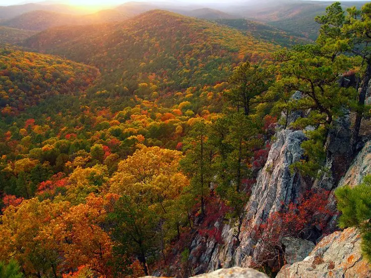 Buying Property in Arkansas: What You Need to Know Before You Buy