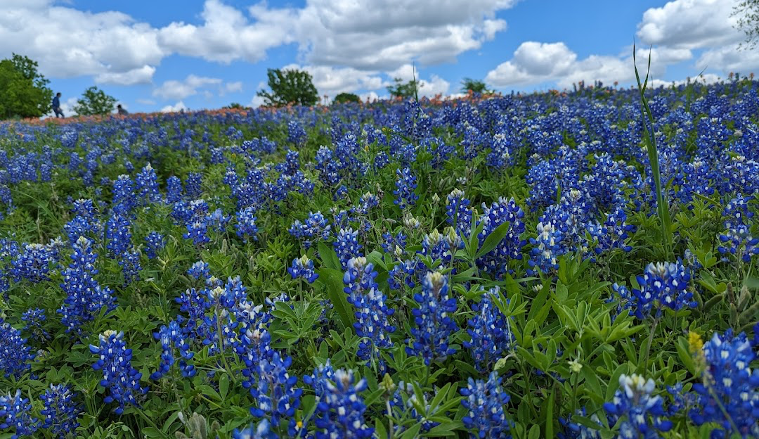 Ennis, Texas is a charming city located in Ellis County, about 30 miles south of Dallas. The real estate market in Ennis offers a mix of housing options, including single-family homes, townhouses, and apartments. 

The city has a range of affordable housing options, making it an attractive choice for first-time homebuyers and families. Ennis has a mix of historical homes with unique architectural styles, as well as newer developments with modern amenities.

Ennis is known for its small-town charm, friendly community, and close-knit neighborhoods. The city boasts a vibrant downtown area with shops, restaurants, and community events. The real estate market in Ennis tends to be stable, with a mix of new construction and resale properties available.

Overall, Ennis, Texas offers a quality of life that combines the comforts of suburban living with easy access to urban amenities in nearby Dallas. It's a great place to consider if you're looking for a peaceful and welcoming community to call home.