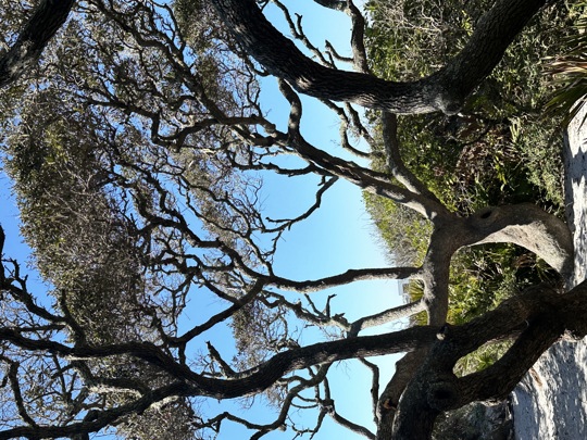 Point Washington State Forest in Santa Rosa Beach is a beautiful natural area in the Florida Panhandle. It is known for its diverse ecosystem, including coastal dune lakes, pine flatwoods, wet prairies, and swamps. The forest offers numerous outdoor recreational opportunities such as hiking, biking, camping, and wildlife viewing. Visitors can explore the various trails that wind through the forest and lead to stunning scenic spots and secluded beaches along the coast. Point Washington State Forest is a great destination for nature lovers and outdoor enthusiasts looking to escape into the beauty of the Florida wilderness.