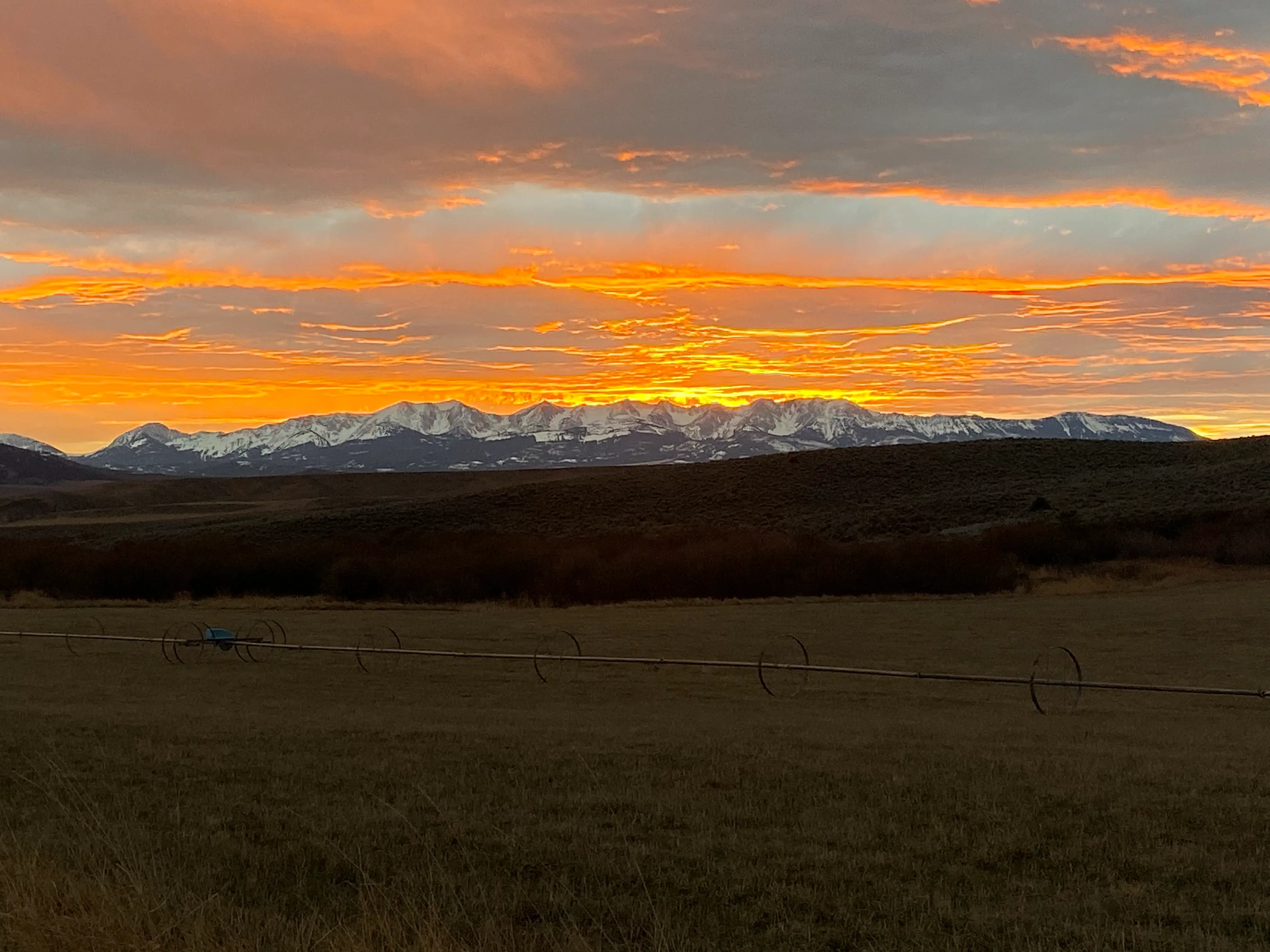 REALHUB is on fire today