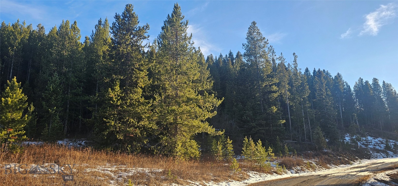 Other - Land
