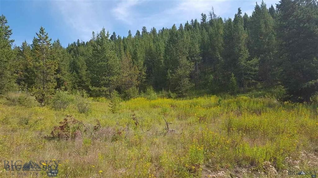Treed Acreage Near Bozeman!!
Build your Montana dream home on this beautiful 27± acre treed parcel located approximately 15 minutes east of Bozeman. Offering privacy, mature timber, and mountain views, this property delivers the true Montana lifestyle.
Elk, deer and plenty of other wildlife frequent the property.
Enjoy the peace of mountain living while still being a short drive to Bozeman amenities. Located near trailheads and public land access, outdoor recreation is just minutes away. 
Light covenants are in place with no HOA. Electricity, well, and septic are not currently installed and will be the responsibility of the buyer.
