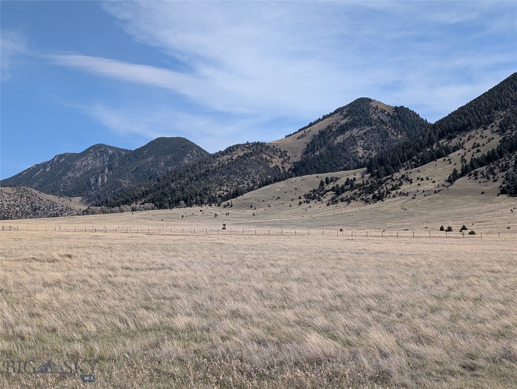 Mustang Ranches - Land