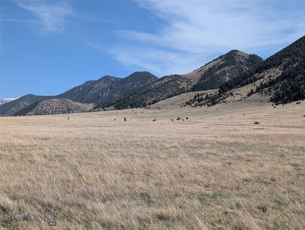 Mustang Ranches - Land