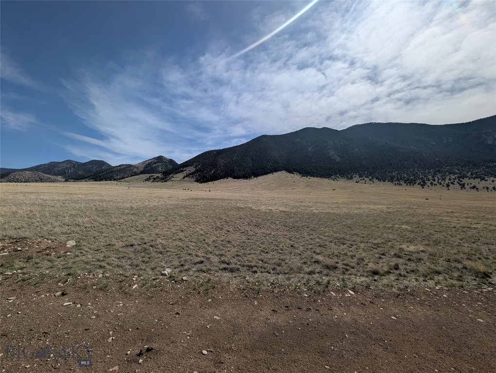 Mustang Ranches - Land