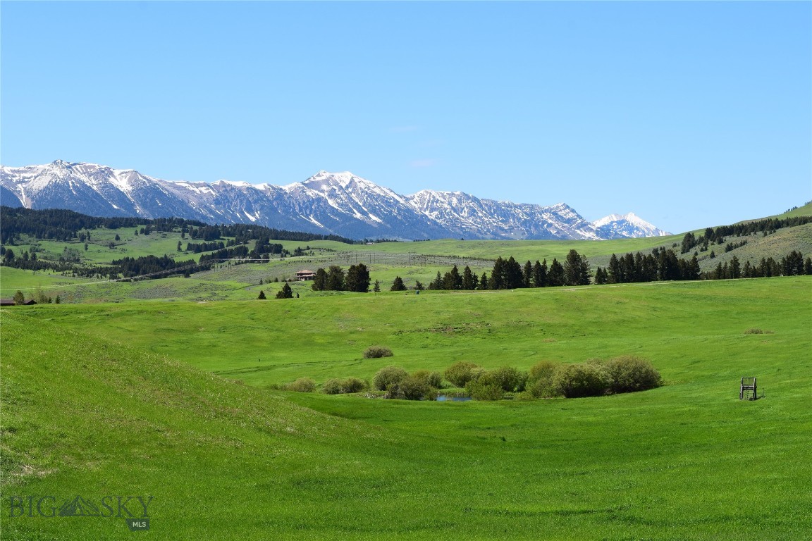 Look at this exceptional 40+ acre property with no covenants. It features outstanding mountain views from several build sites, including a premier location near a year-round, spring-fed pond. This specific site offers natural berms for maximum privacy and seclusion from road noise—an ideal spot for a deck to watch the local wildlife.

The land offers ample space for a dream home, guest house, barns, and shops, and all types of livestock are welcome. While there are no covenants, please note the lot is governed by the Bridger Canyon Zoning Regulations; let me know if you would like a copy of those details.

The location is highly convenient, situated just 10 minutes from downtown Bozeman and 25 minutes from the airport, with natural gas and fiber optics available at the road.