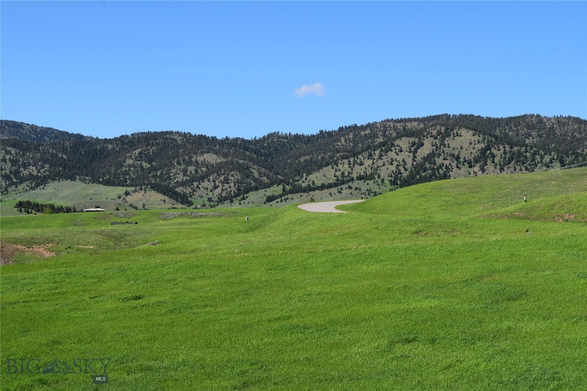 Certificate Of Survey COS - Land