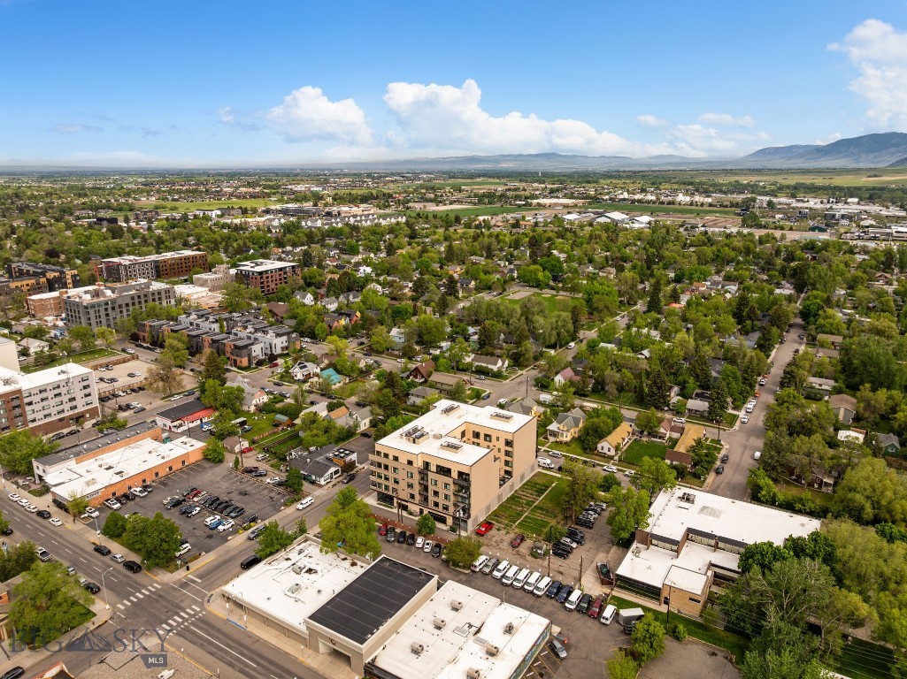 Bozeman Original Plat - Residential