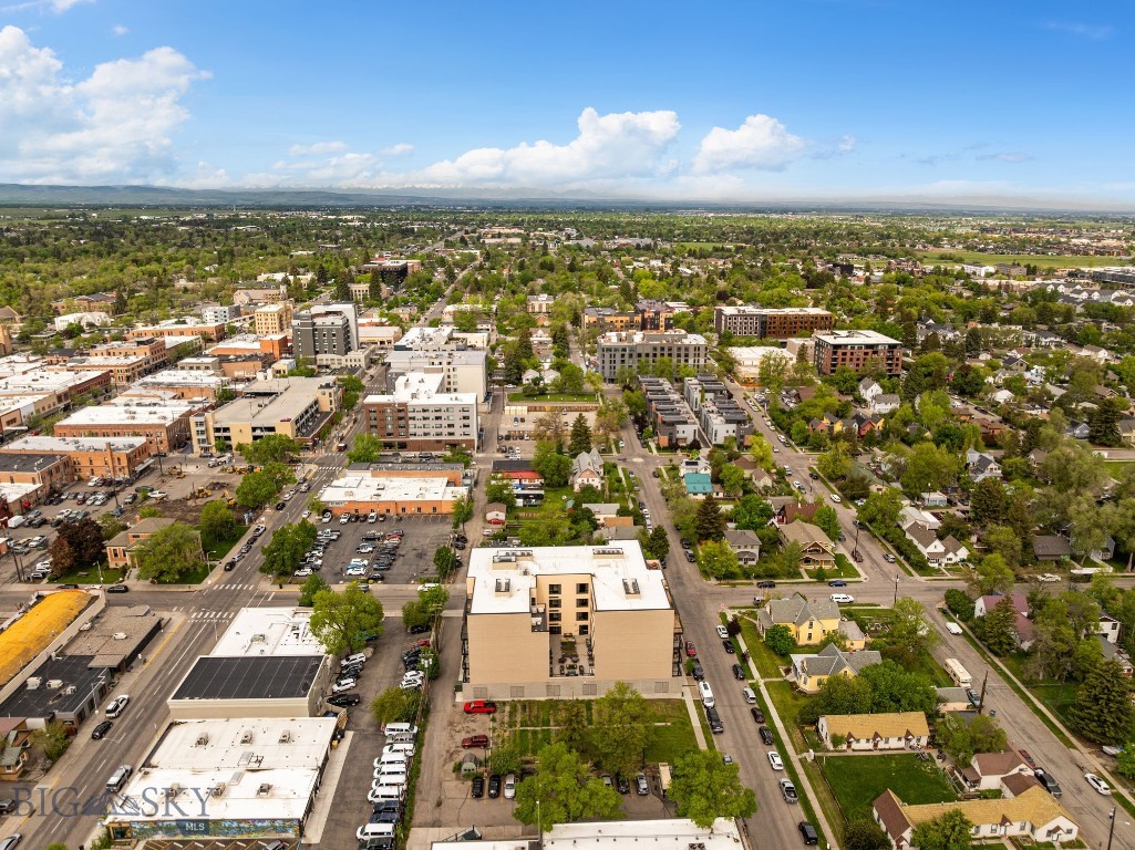 Bozeman Original Plat - Residential