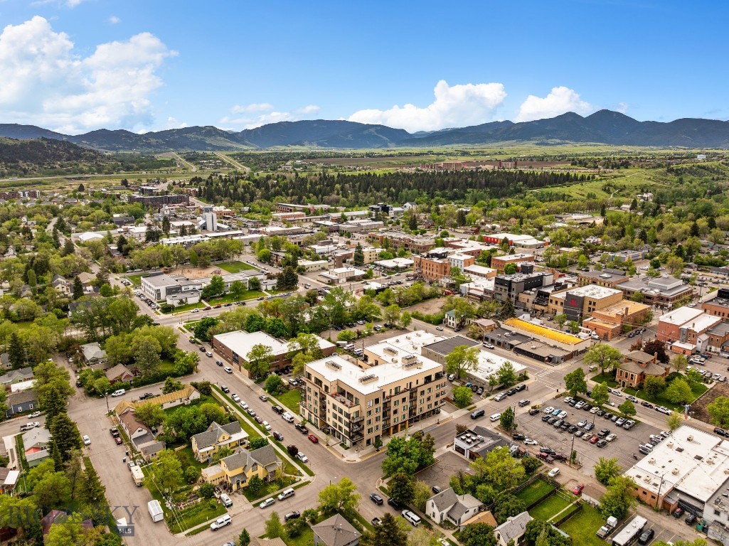 Bozeman Original Plat - Residential