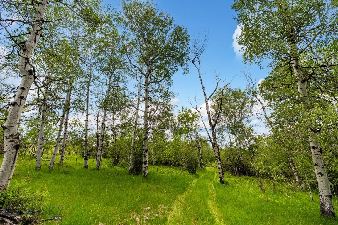 Aspen Meadows - Residential