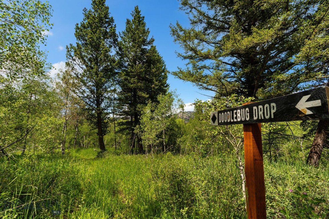 Aspen Meadows - Residential