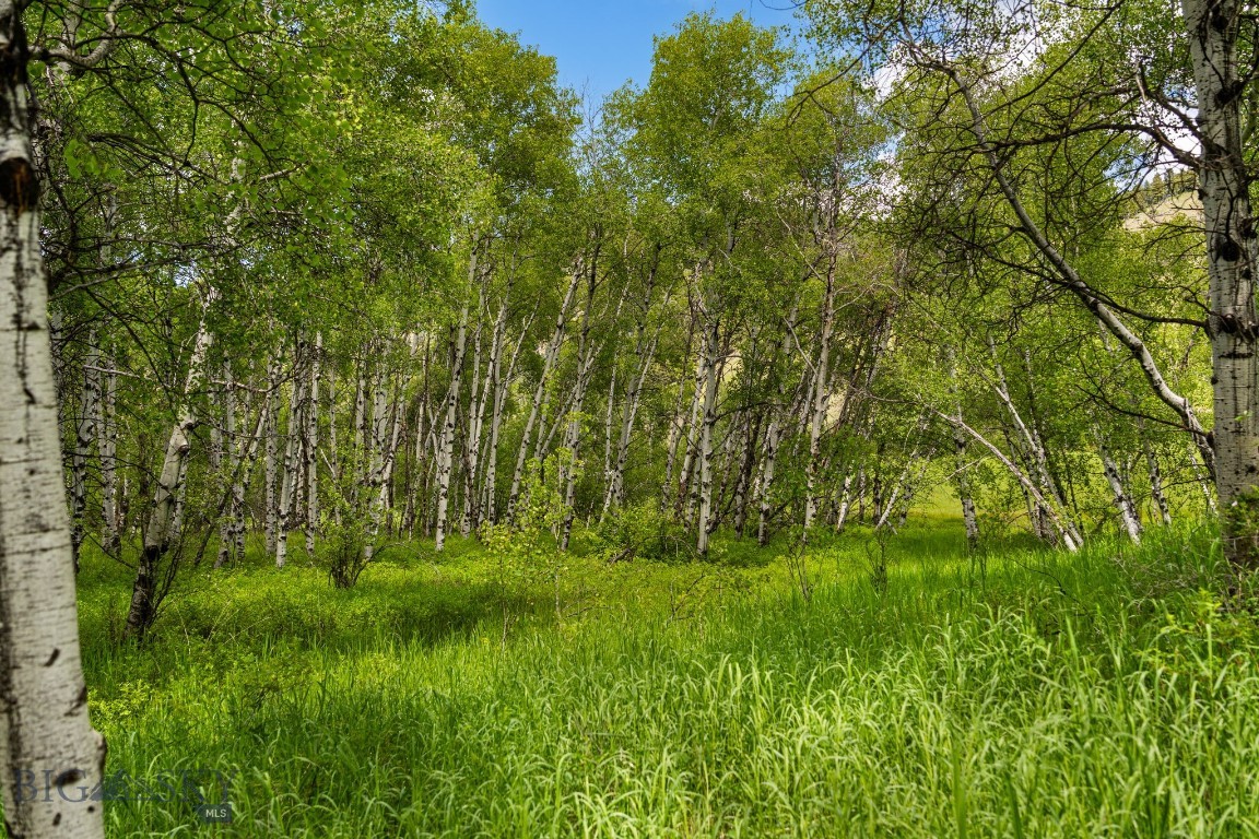 Aspen Meadows - Residential