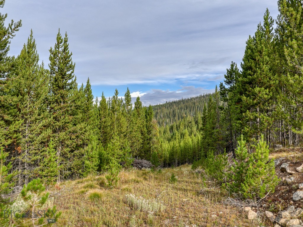 Summit View - Land
