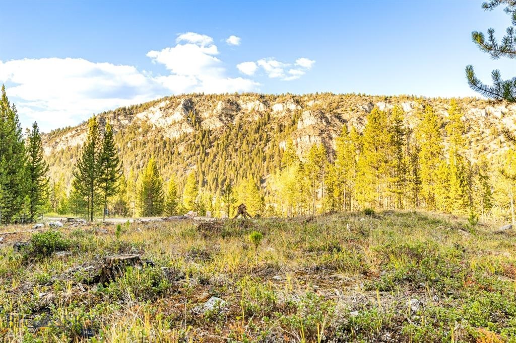 Discover a unique chance to claim 5 acres in the breathtaking mountain landscapes of southwest Montana. This private wooded lot features mature pines and plenty of buildable space. With underground power at the lot line and reliable, year-round access via dirt roads maintained and snowplowed by the HOA, this is the perfect home base for year-round adventure or investment property. Walk up the road into thousands of acres of National Forest, ideal for hiking, hunting, and exploring. Steps away from your front door, enjoy an 8-acre public park with peaceful walking trails, benches, a live stream, and a thriving beaver pond — a perfect place to unwind or spot wildlife, such as migratory birds & fish jumping. You’ll be surrounded by the best of Montana’s natural world — with frequent sightings of elk, deer, moose, black bears, beavers, and countless songbirds. Located just 10 minutes from Georgetown Lake, 20 minutes from Discovery Ski Area, and 15 minutes from Old Works Golf Course.