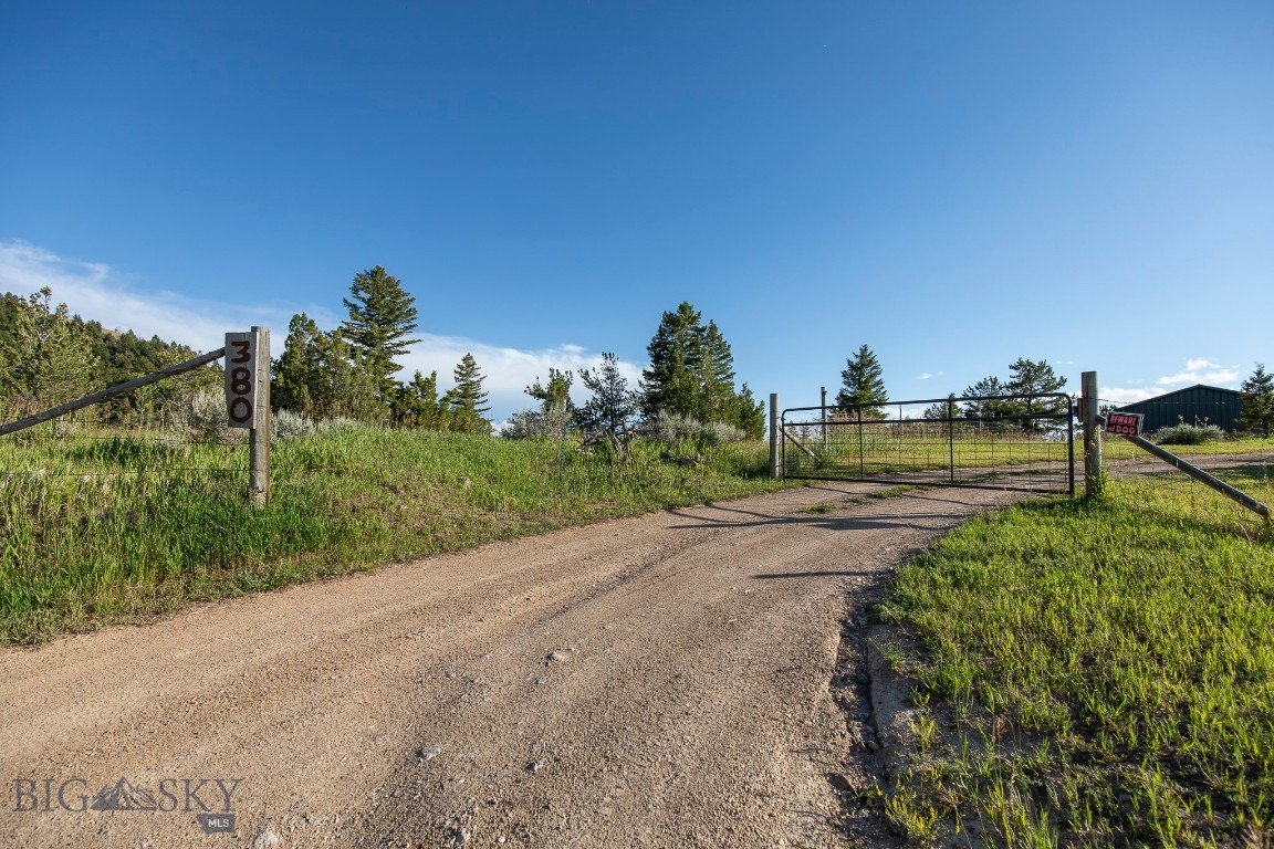 Ponderosa Pines - Residential