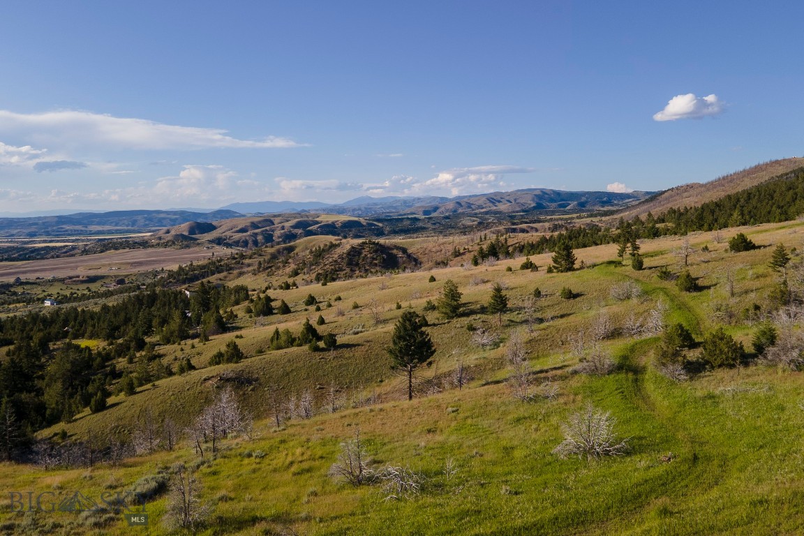 Ponderosa Pines - Residential
