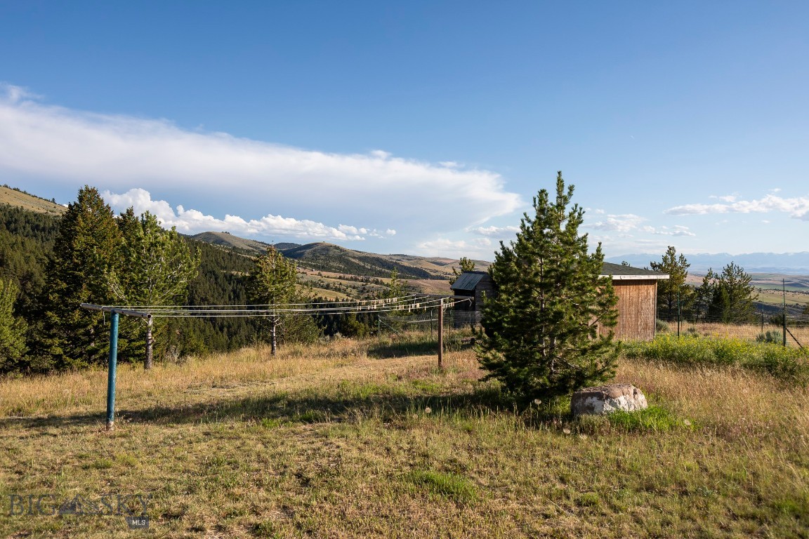 Ponderosa Pines - Residential
