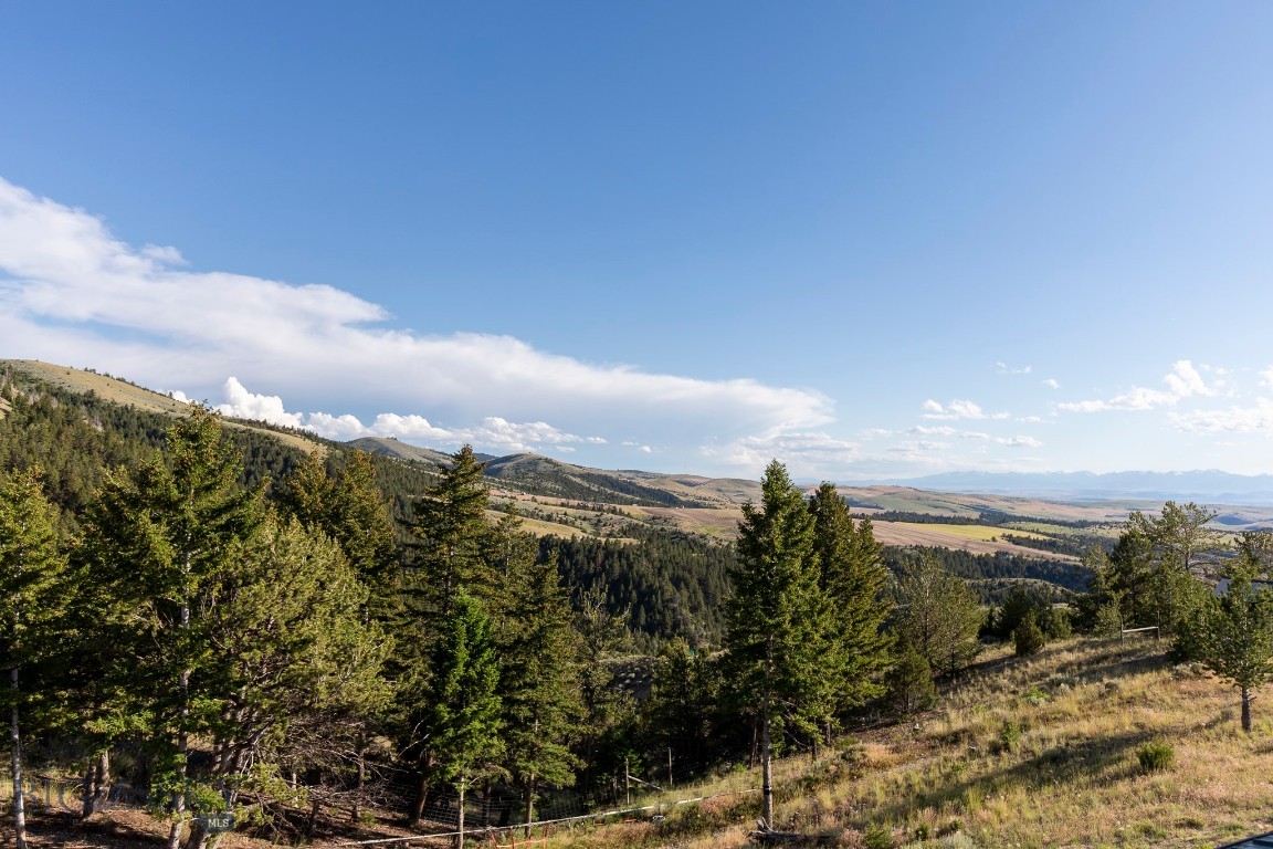 Ponderosa Pines - Residential