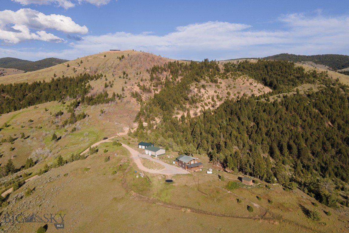 Ponderosa Pines - Residential